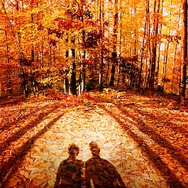 Autumn Vibes  - Vela perfumada